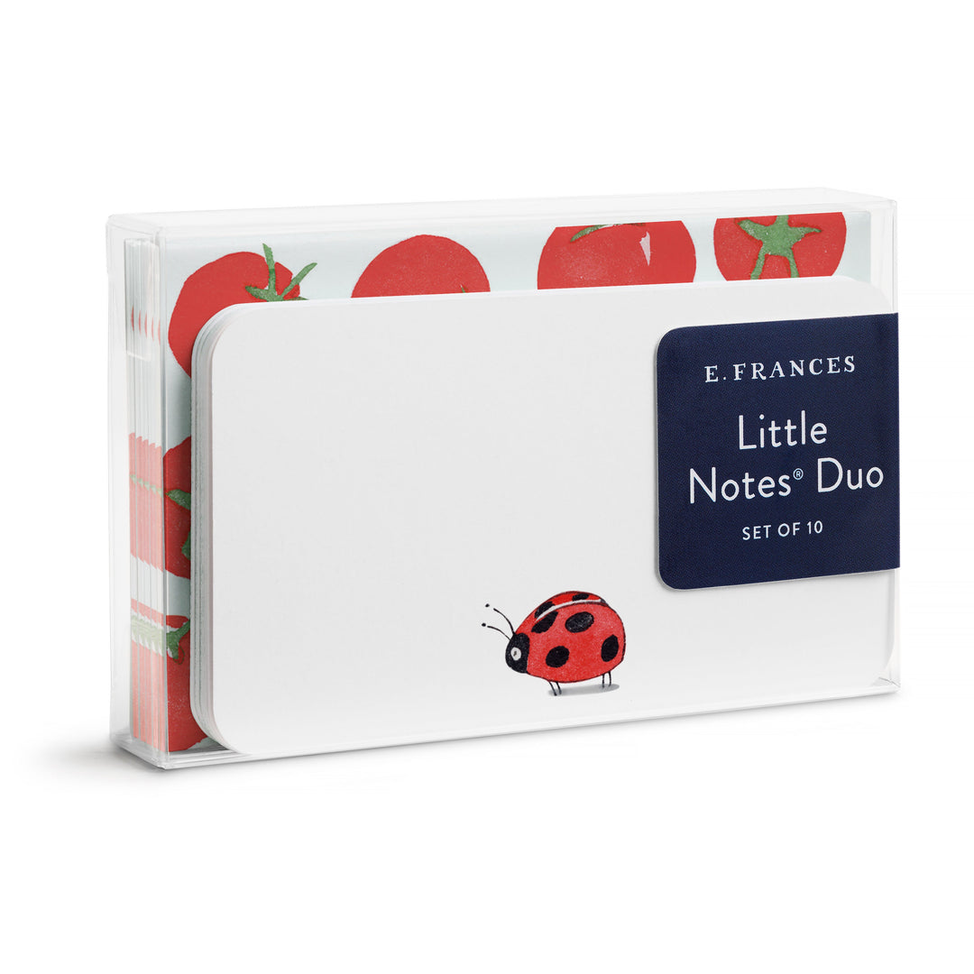 Package of E. Frances Little Notes Duo with ladybug design.
