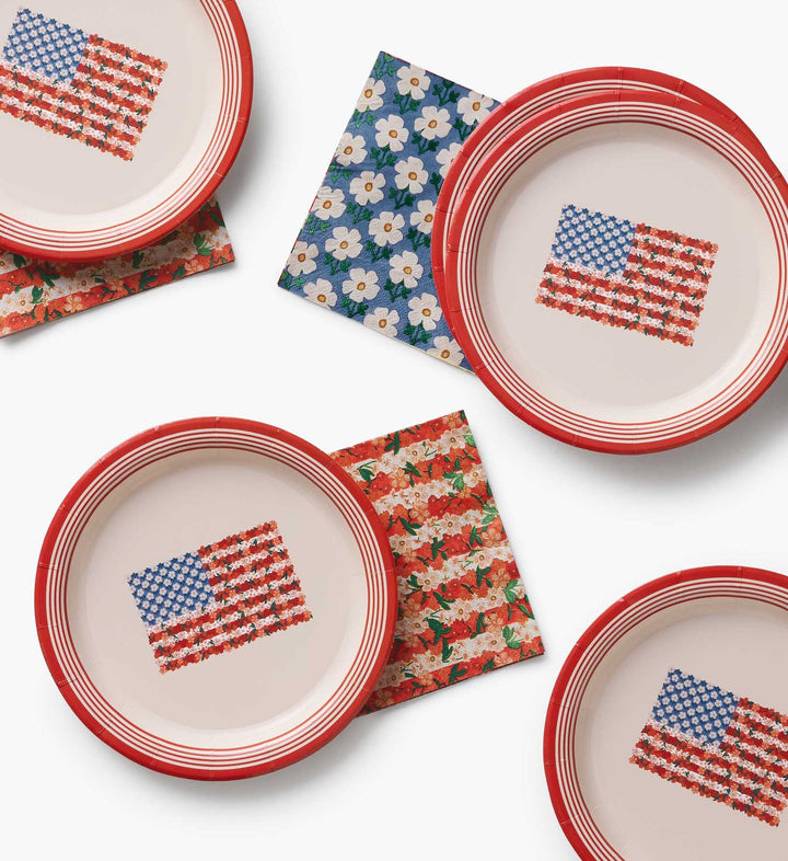 Americana Paper Plates, Set of 10