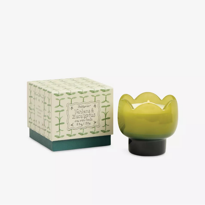 Tulip Glass Candle, 5.5 oz, 5 Scents