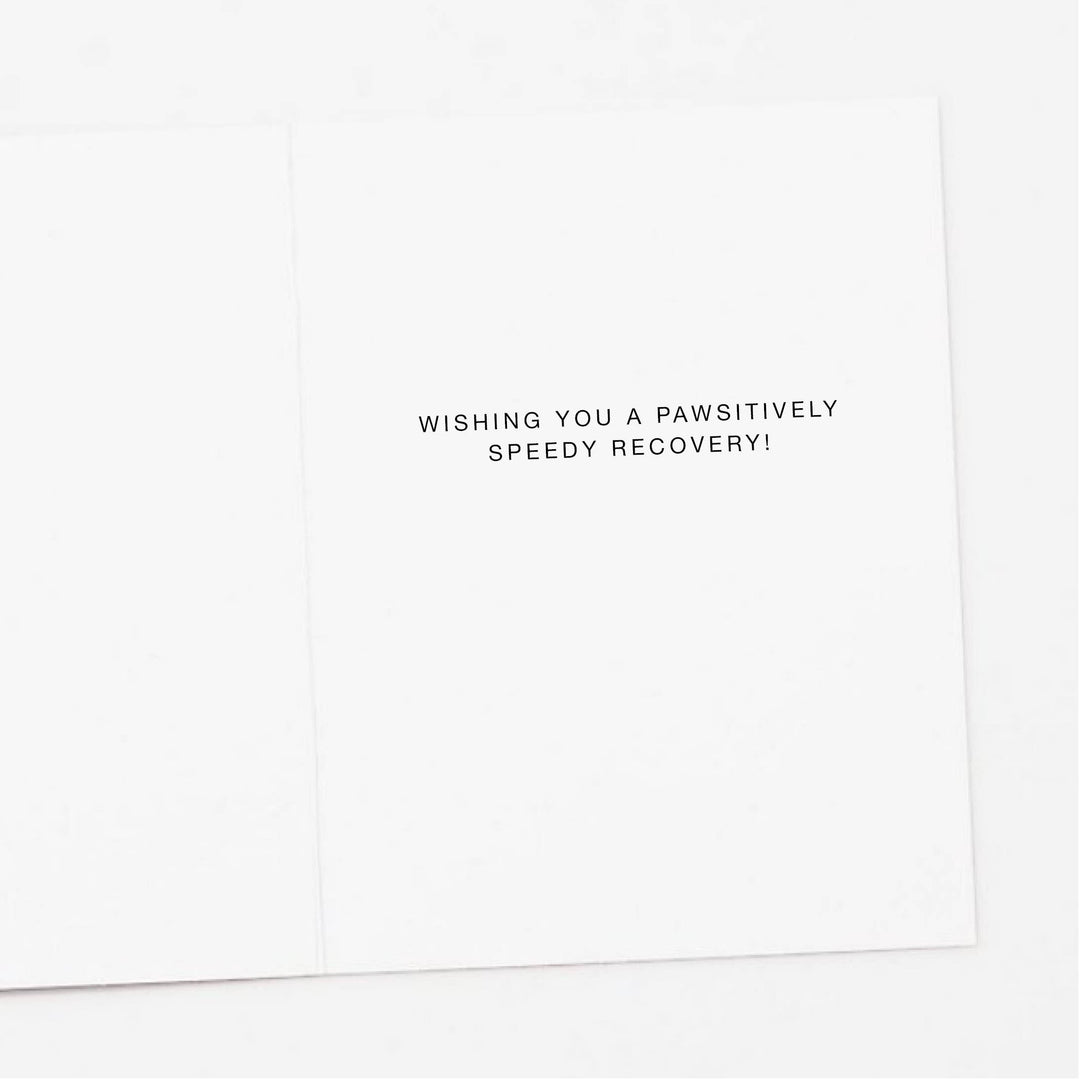 Ice Pack Dog Get Well Card