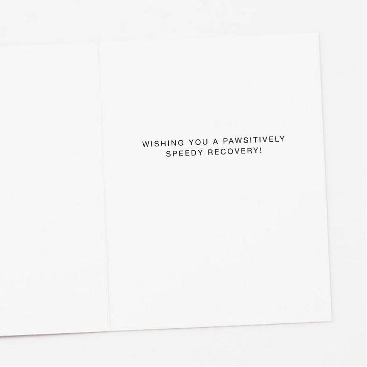 Ice Pack Dog Get Well Card