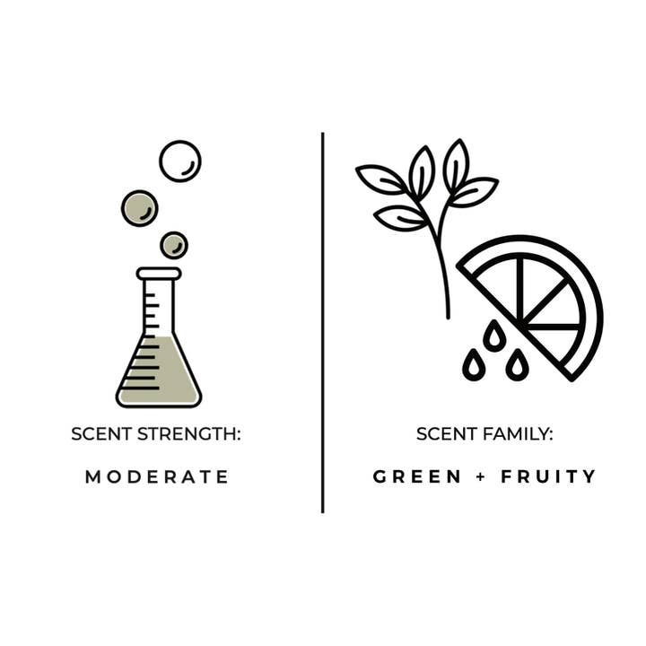 Diagram of a beaker with bubbles labeled Scent Strength: Moderate and  leaf and lemon slice labeled Scent Family: Green + Fruity.