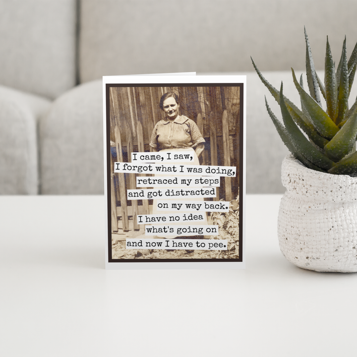 I Came, I Saw, I Forgot Greeting Card