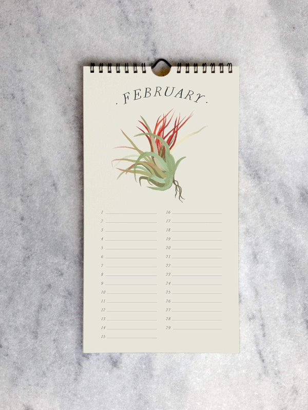 Perpetual Calendar, Tillandsia