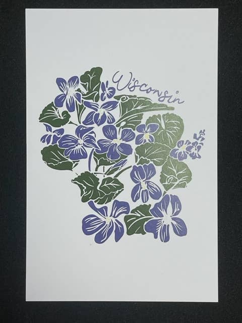 Wisconsin State Flower Postcard