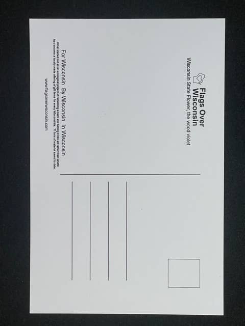 Wisconsin State Flower Postcard