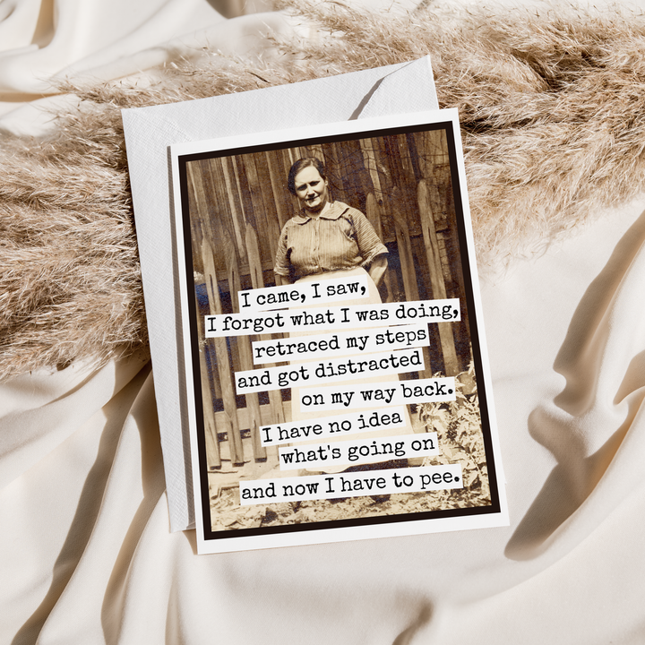 I Came, I Saw, I Forgot Greeting Card