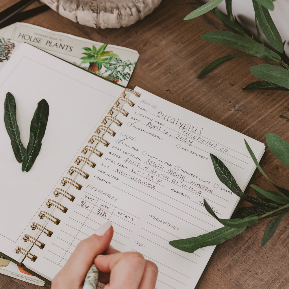 Woman's hand entering detailed information about a plant in the journal, on a table with sage leaves.