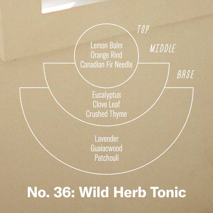 Wild Herb Tonic Soy Candle