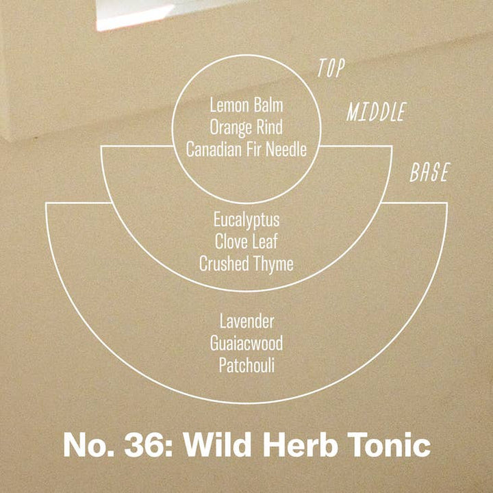 Wild Herb Tonic Soy Candle