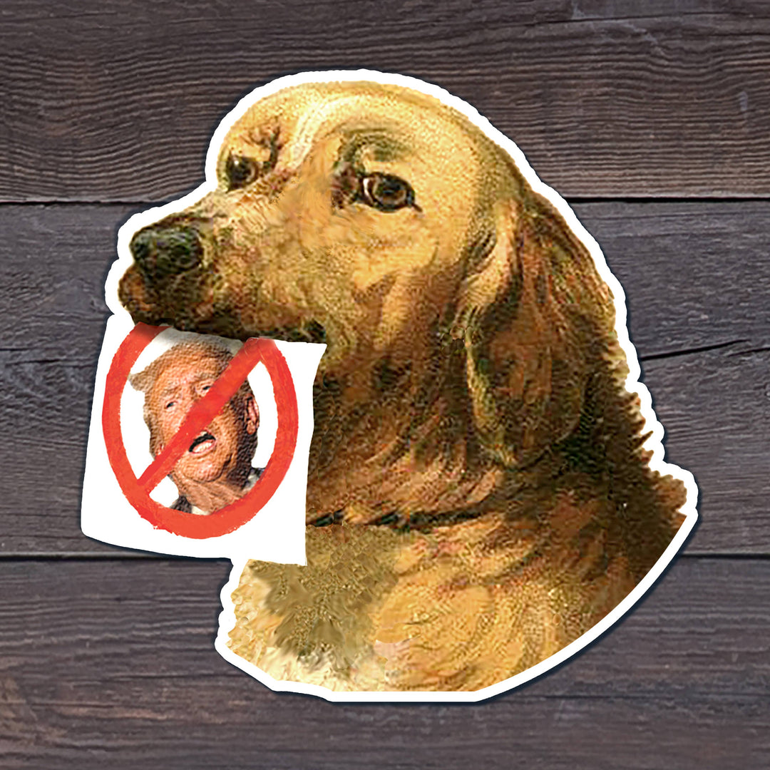 A die-cut vinyl sticker featuring a painted golden retriever holding a small printed card with Donald Trump's face covered by the universal symbol for 'no'
