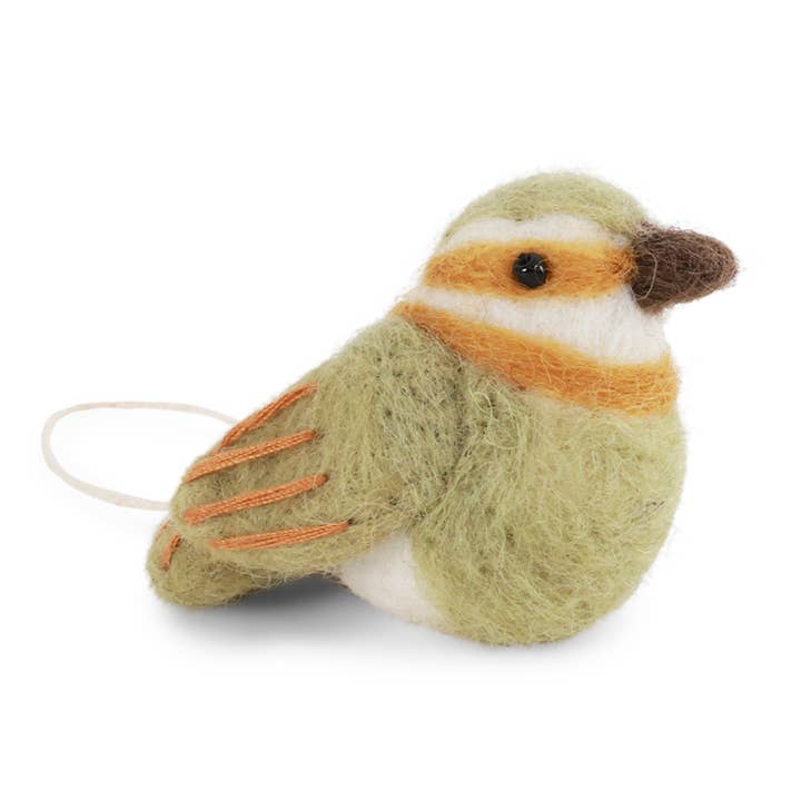 Felt Bird, 13 Species