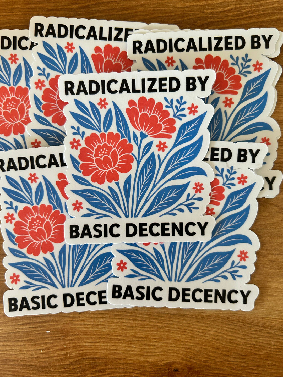 Radicalized By Basic Decency Sticker
