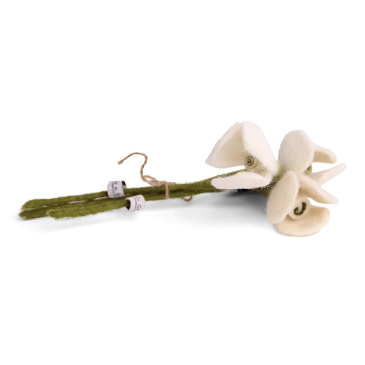 Three white show drop flowers on a green stem.