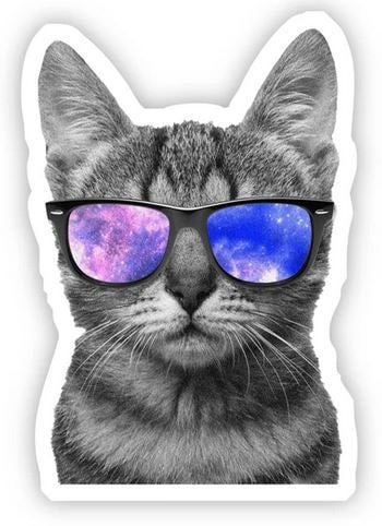 Cat Sunglasses Sticker