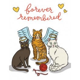 Cats Forever Pet Sympathy Card